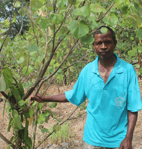 Adolfo - vanilla farmer