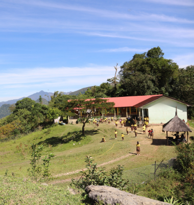 Mary MacKillop: Education, Dignity, and the Power of Belief