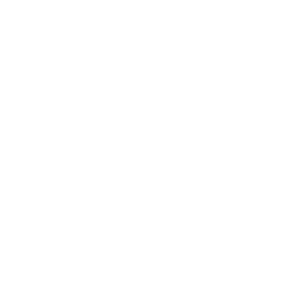 Counter Icon
