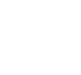 Counter Icon