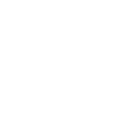 Counter Icon