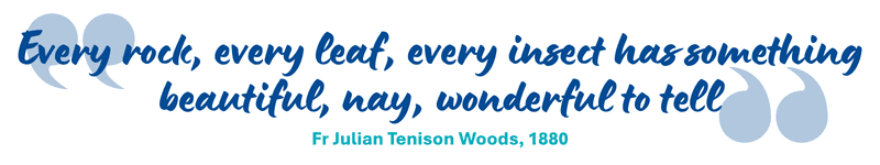 "Every rock, every leaf, every insect has something beautiful, nay, wonderful to tell"